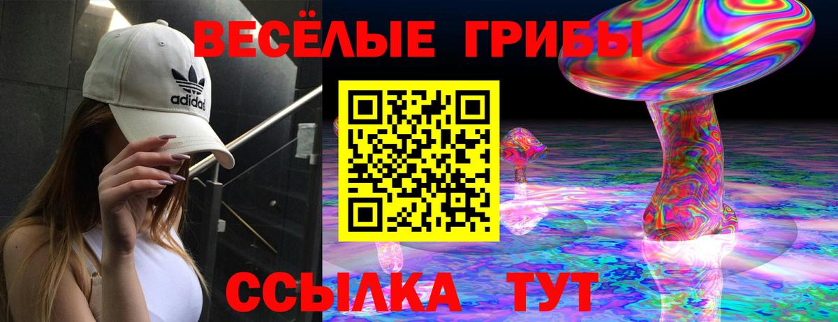 Псилоцибиновые грибы мухоморы Сургут