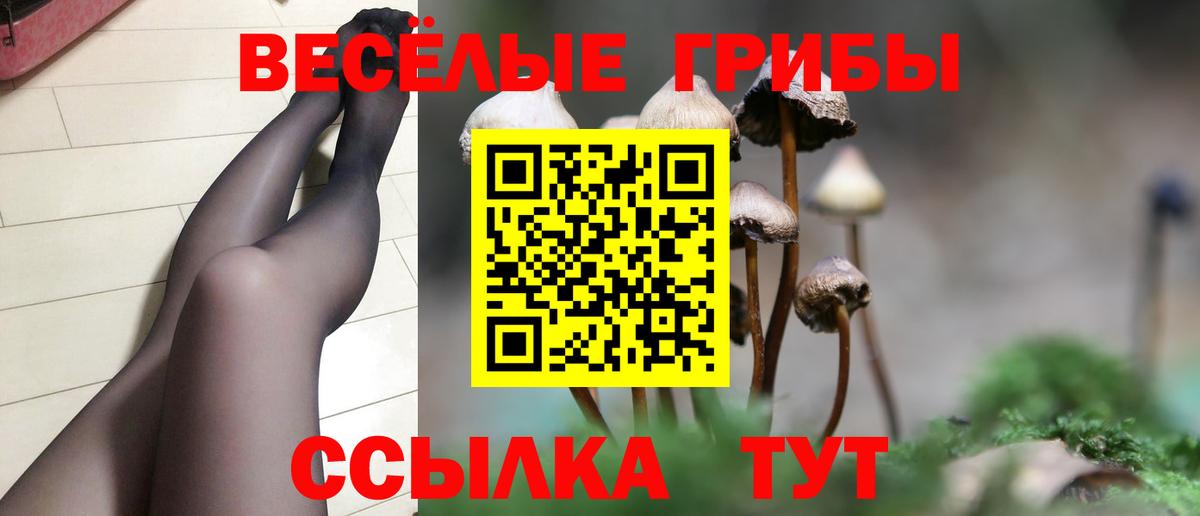 наркотики  Галлюциногенные грибы ЛСД  Галлюциногенные грибы мицелий  Вход с VPN  Сургут 